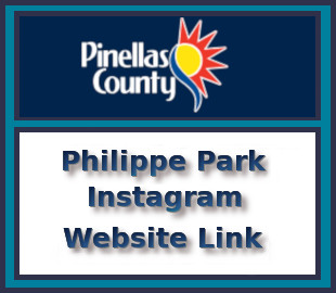 Philippe Park Instagram  Philippe Park Instagram