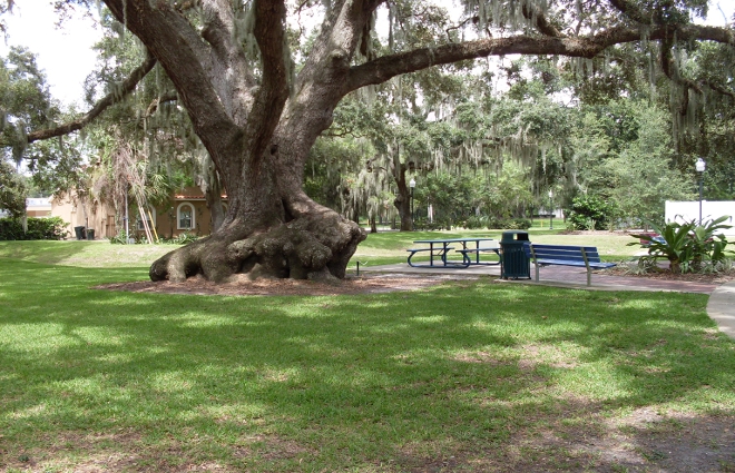 Safety Harbor Art Park