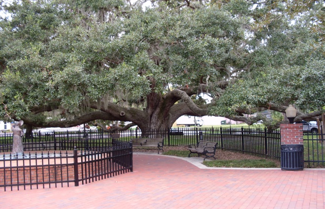 Safety Harbor Baranoff Park