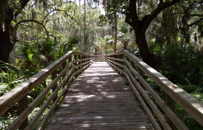 Safety Harbor Marshall Street Park